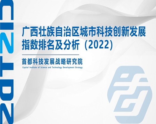 被老板插入玩阴蒂【成果发布】广西壮族自治区城市科技创新发展指数排名及分析（2022）